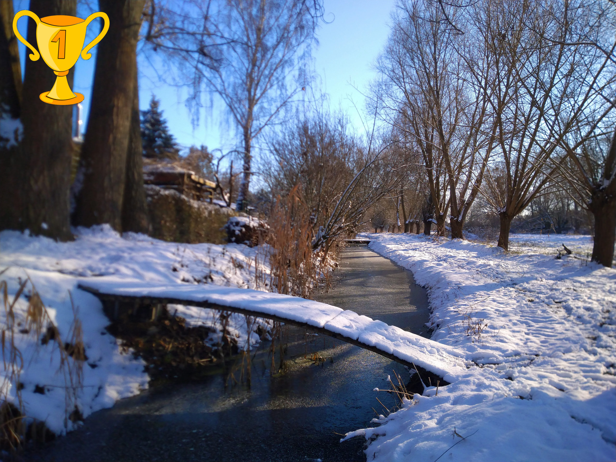 Cathleen Hänschke_Entdeckung der Umgebung_1_Platz