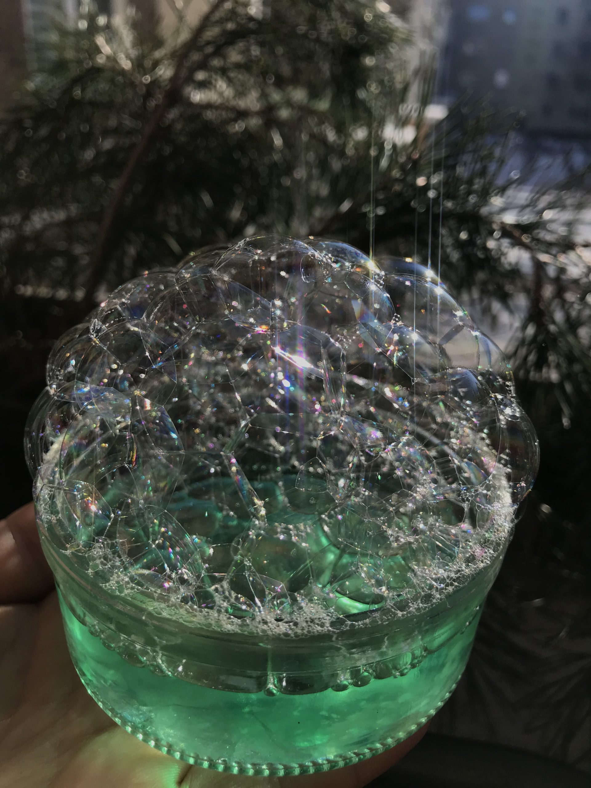 Maria_Ronis_Soap_bubbles_in_the_green_of_the_crystals_Winter_01