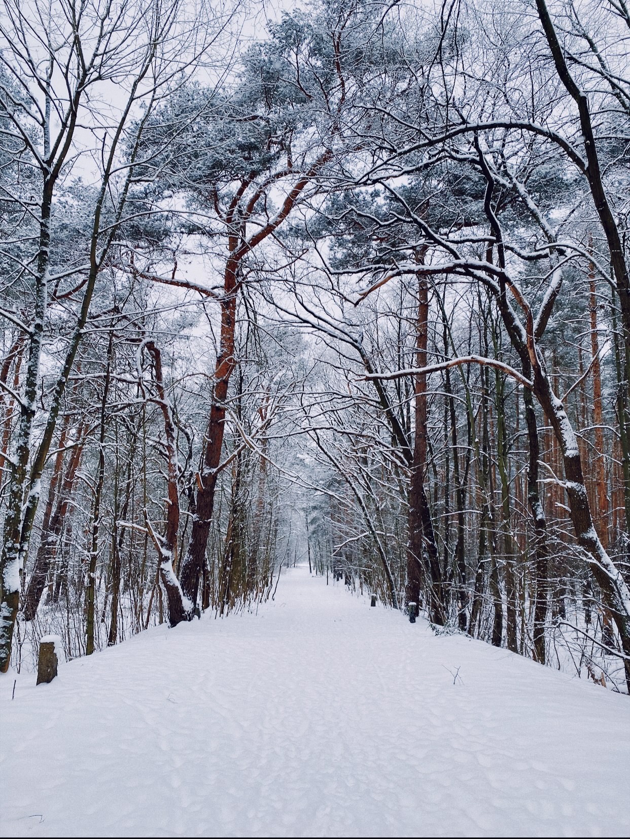 Monika_Siewek_01_zauberhafte_Winterzeit_in_Potsdam