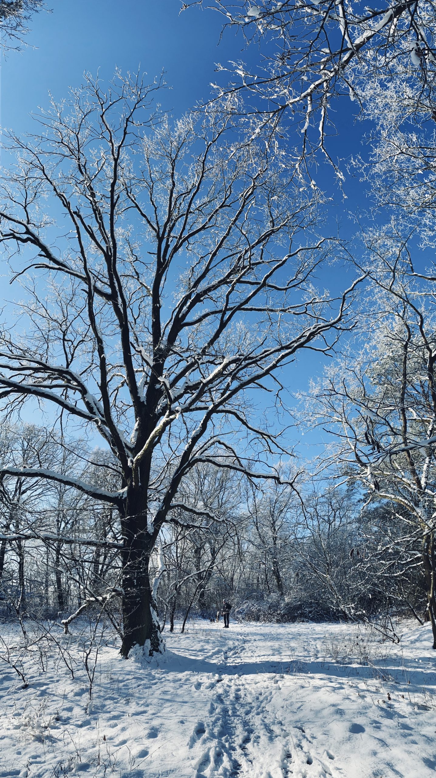 Monika_Siewek_04_Eisland