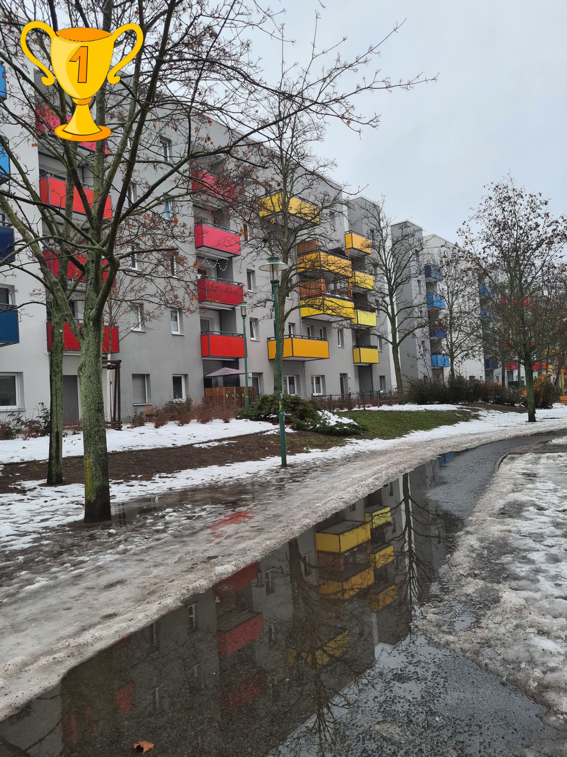 Oxana_Ronis_Grau_aber_bunt_01_1_Platz