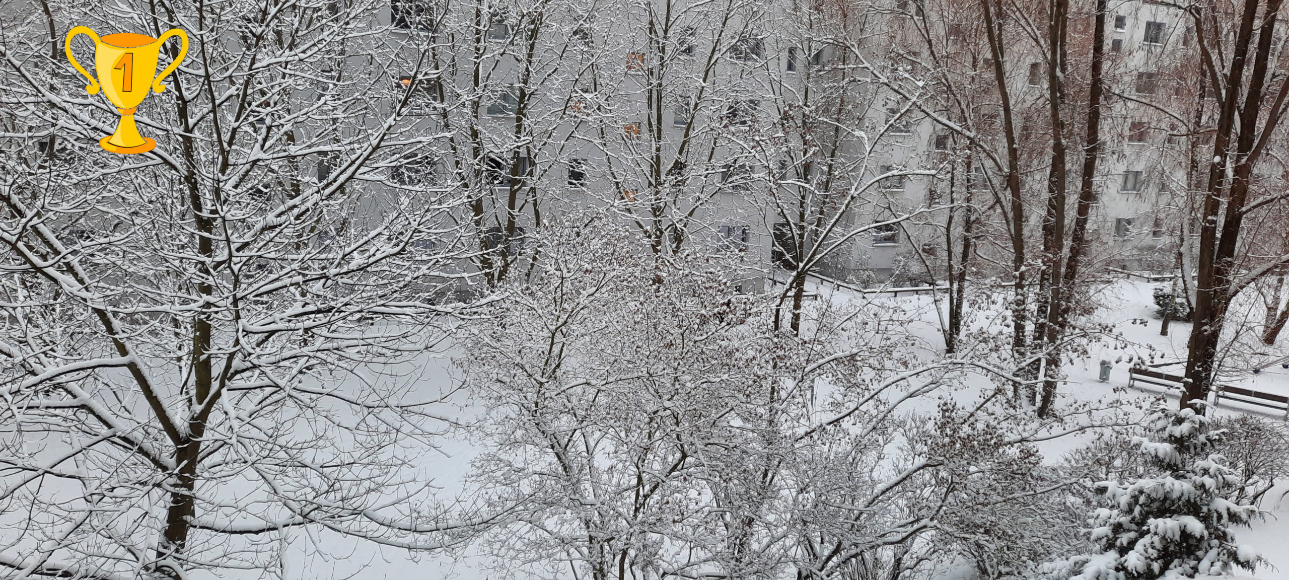 Tatjana_Antipanova_02_Verschneiter_Hinterhof_1_Platz