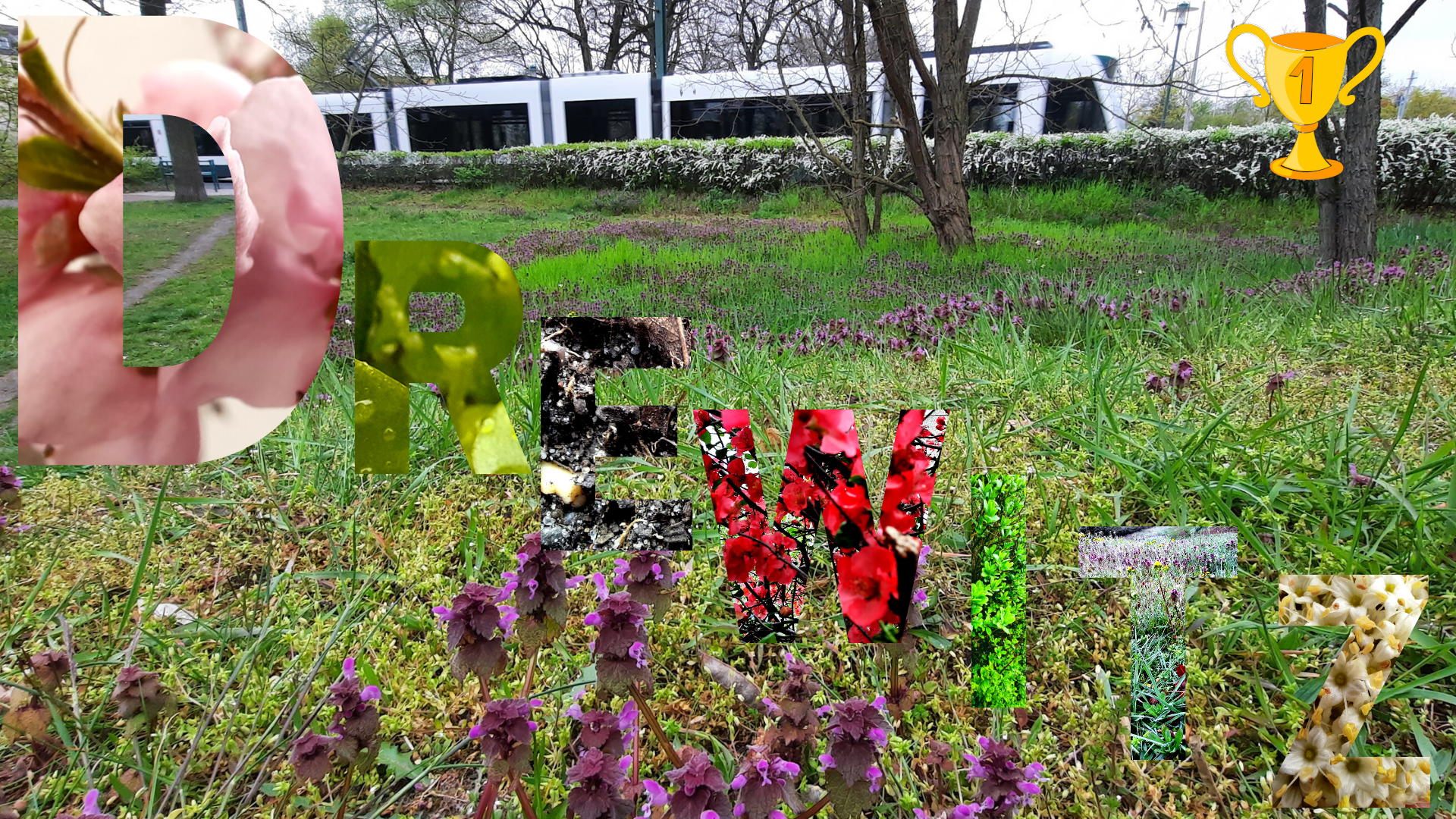 Ein_Teil_Drewitz_Pokal