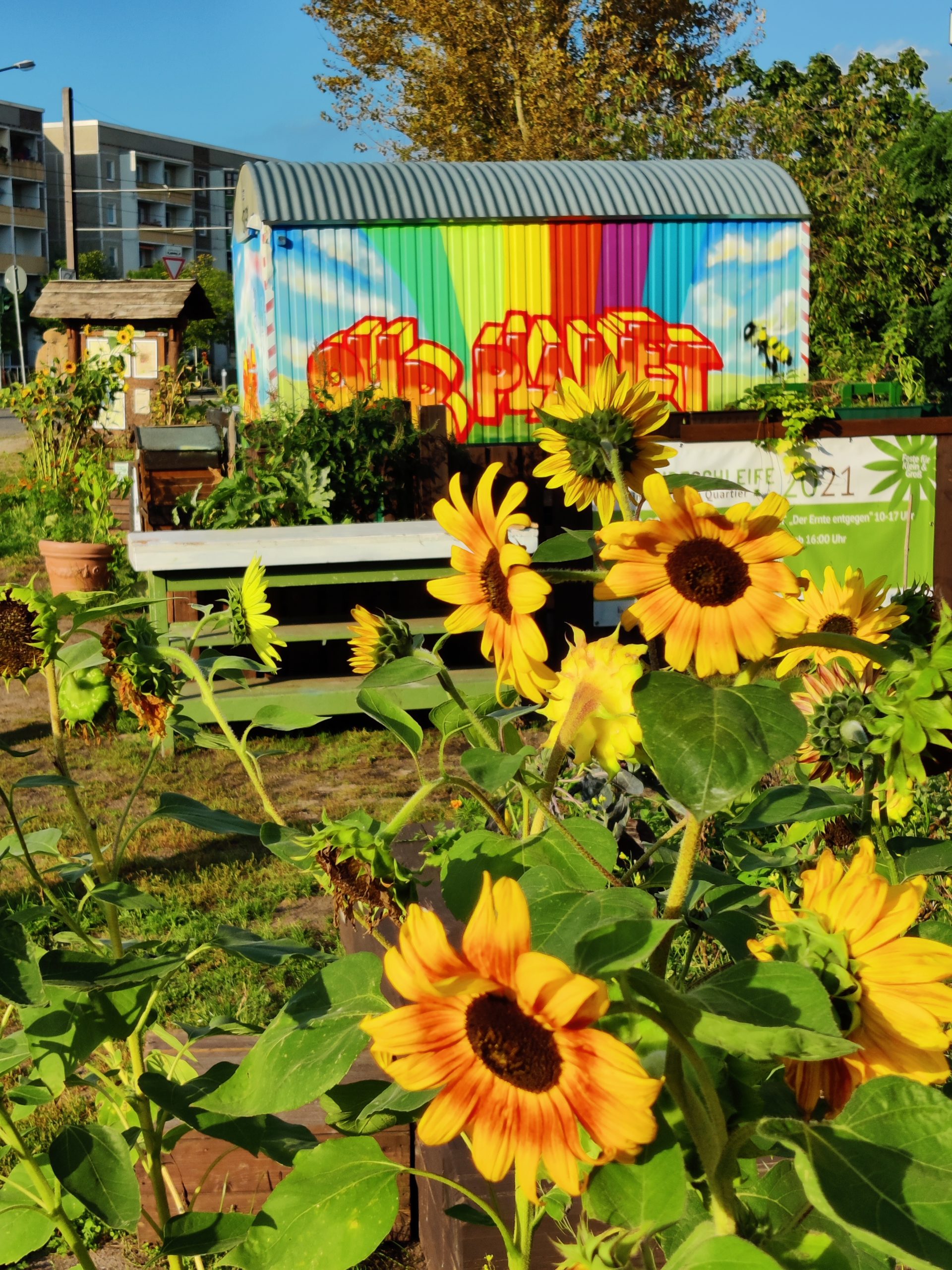 Buntes Drewitz II (Katharina Bigalke)