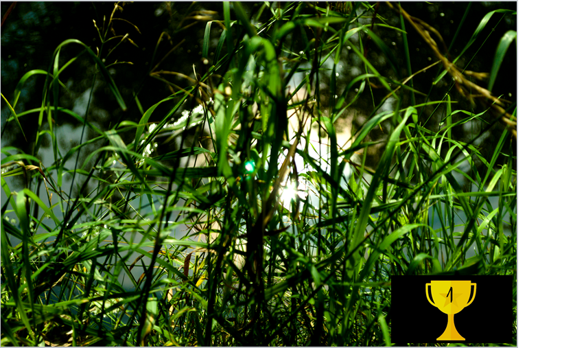 An der Nuthe (Dennis Günzel)