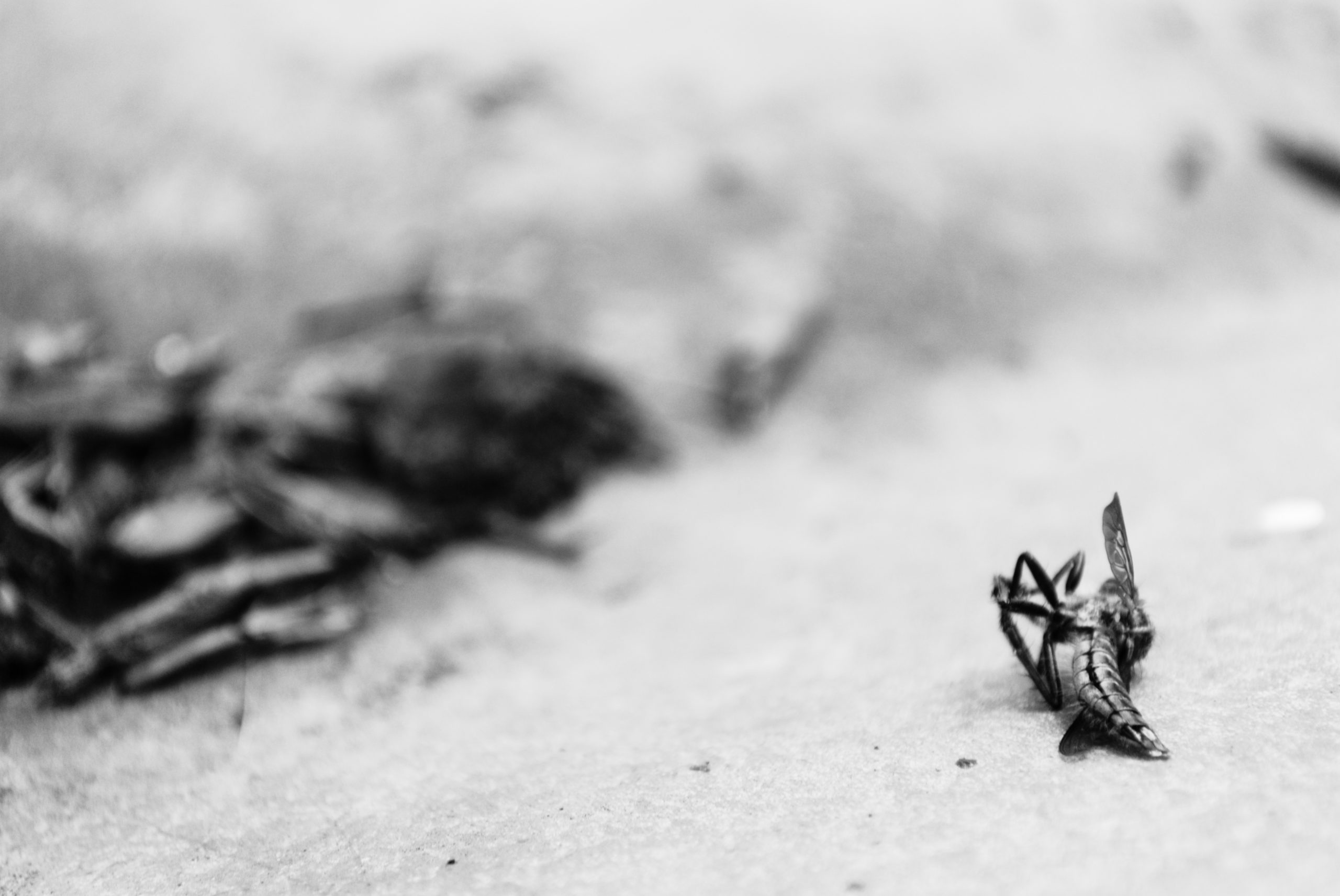 Sommerzeit Traurigkeit (Dennis Günzel)