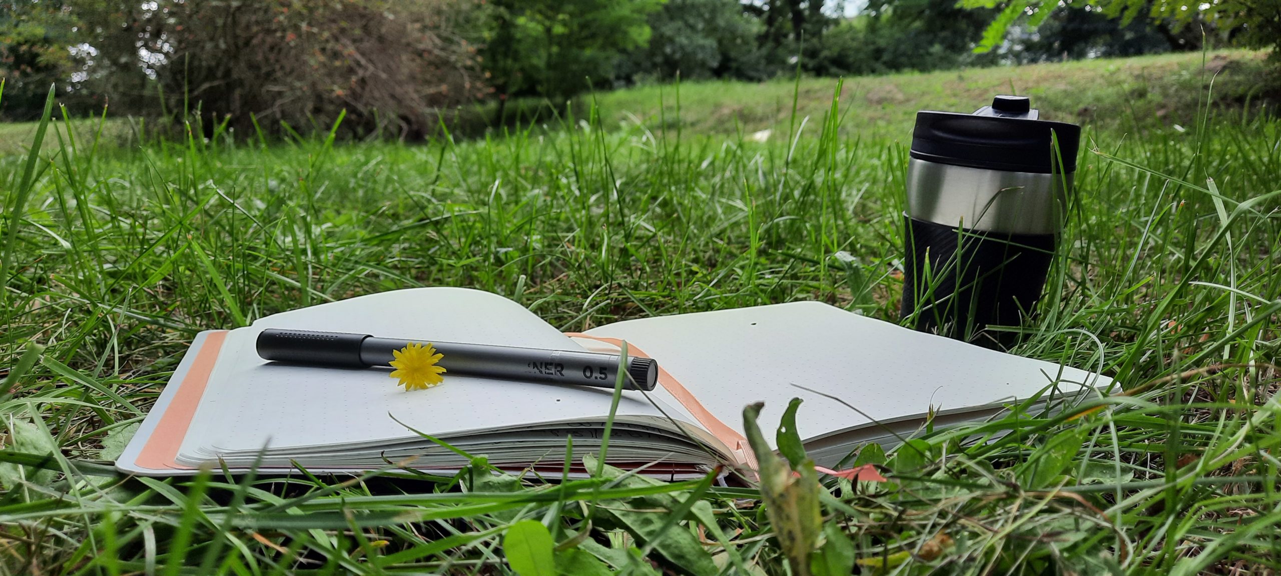 Wiesendate (Tatjana Antipanova)